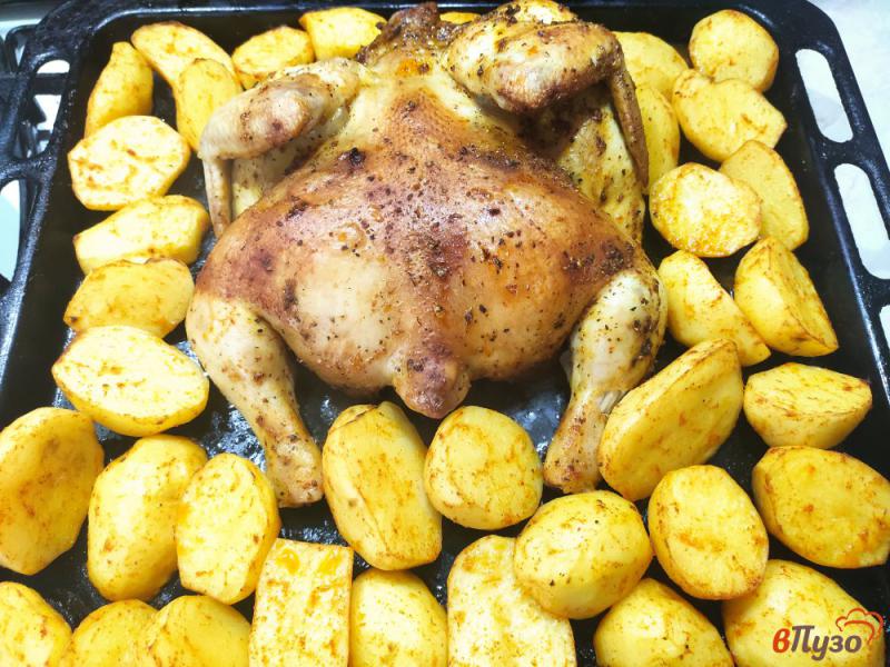 Фото приготовление рецепта: Курица в медово горчичном маринаде с картофелем шаг №7