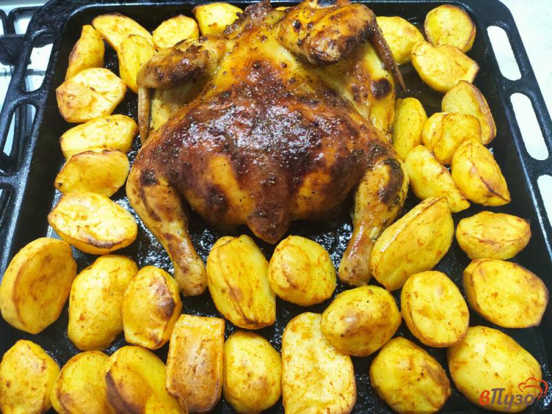 Фото приготовление рецепта: Курица в медово горчичном маринаде с картофелем шаг №9