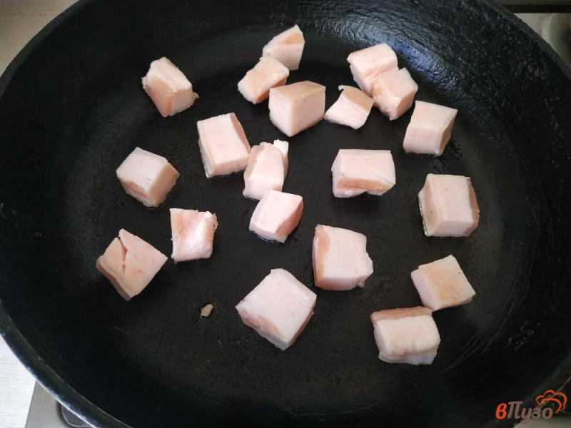 Фото приготовление рецепта: Капуста с салом и кетчупом запечённая в горшочке шаг №2