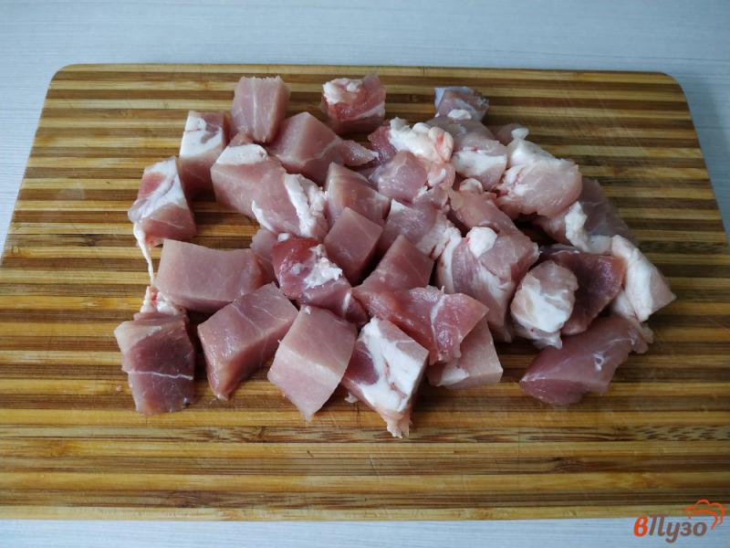Фото приготовление рецепта: Свинина тушёная с фасолью шаг №1