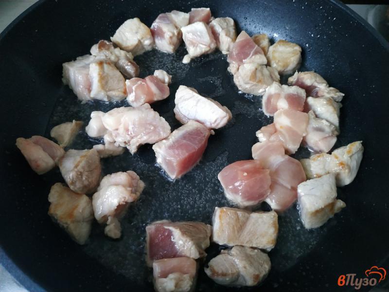 Фото приготовление рецепта: Свинина тушёная с фасолью шаг №2