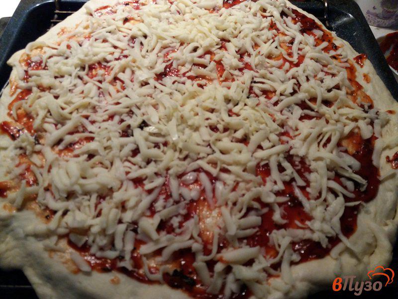 Фото приготовление рецепта: Пиццы а ля Диабло шаг №5