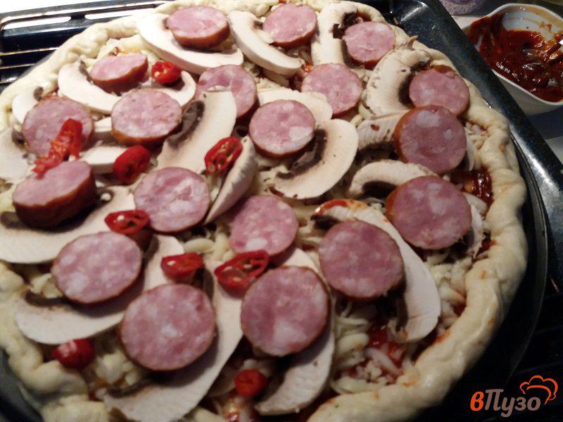 Фото приготовление рецепта: Пиццы а ля Диабло шаг №8