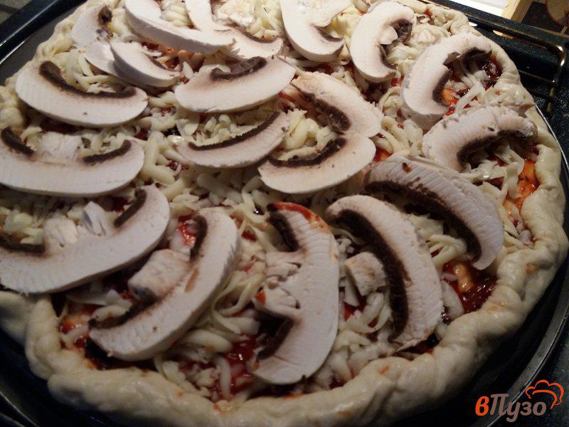 Фото приготовление рецепта: Пиццы а ля Диабло шаг №6