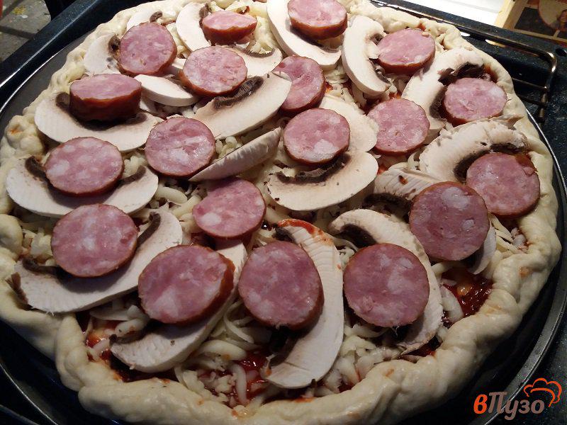 Фото приготовление рецепта: Пиццы а ля Диабло шаг №7