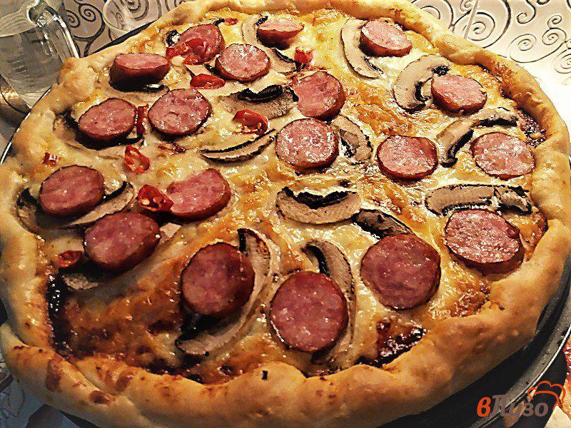 Фото приготовление рецепта: Пиццы а ля Диабло шаг №9