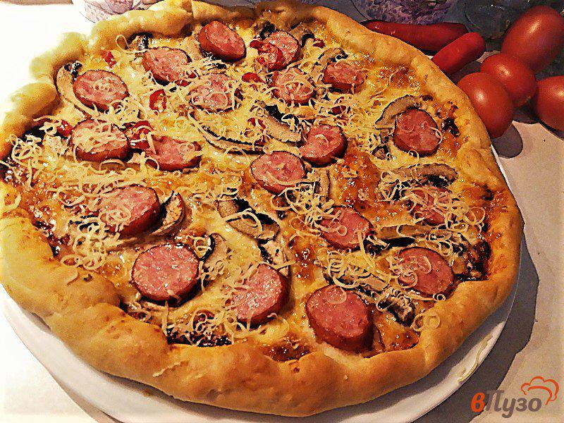 Фото приготовление рецепта: Пиццы а ля Диабло шаг №11