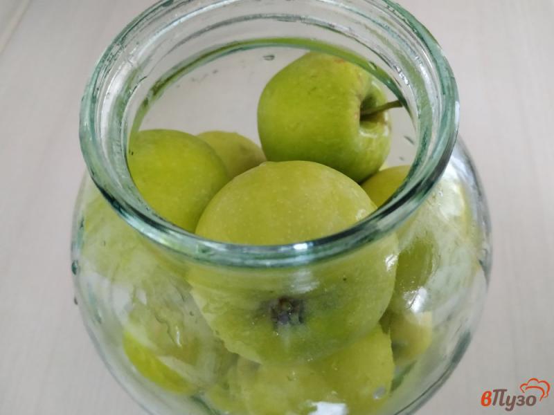 Фото приготовление рецепта: Моченые яблоки шаг №2