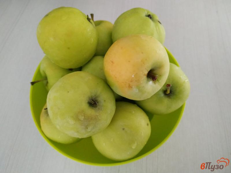 Фото приготовление рецепта: Моченые яблоки шаг №1