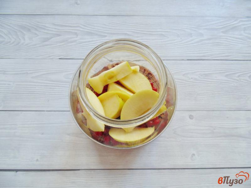 Фото приготовление рецепта: Компот  из яблок и калины на зиму шаг №2