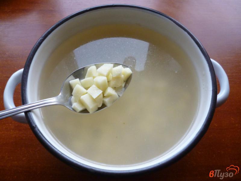 Фото приготовление рецепта: Суп со сметанной заправкой шаг №2