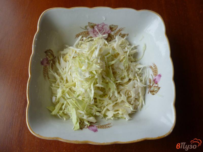Фото приготовление рецепта: Салат из капусты с овощами шаг №1