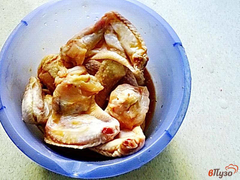 Фото приготовление рецепта: Куриные голени и крылья запеченные в духовке шаг №4