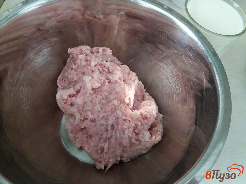 Фото приготовление рецепта: Мясные оладьи из куриного фарша шаг №1