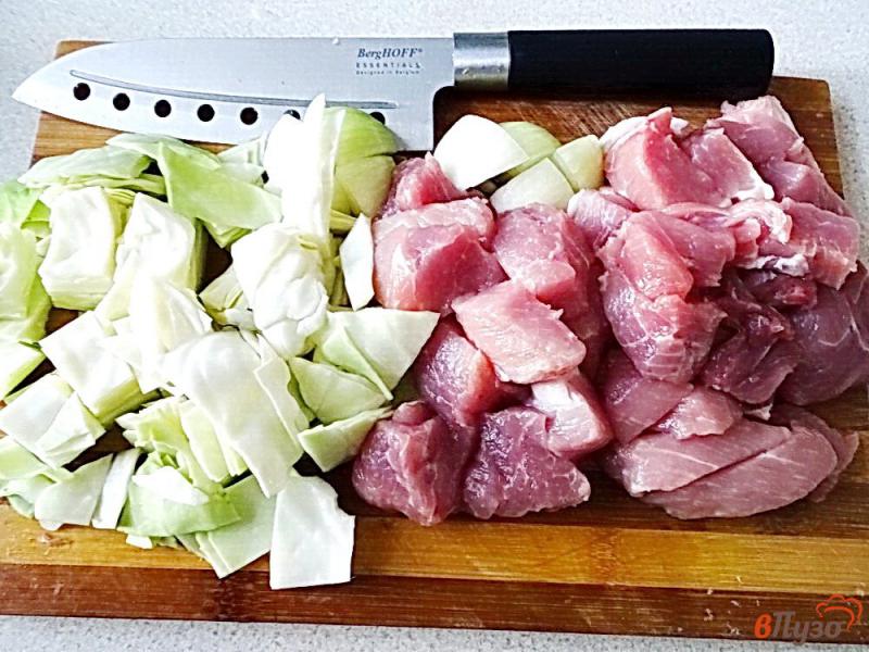 Фото приготовление рецепта: Свиные котлеты с капустой в духовке шаг №1