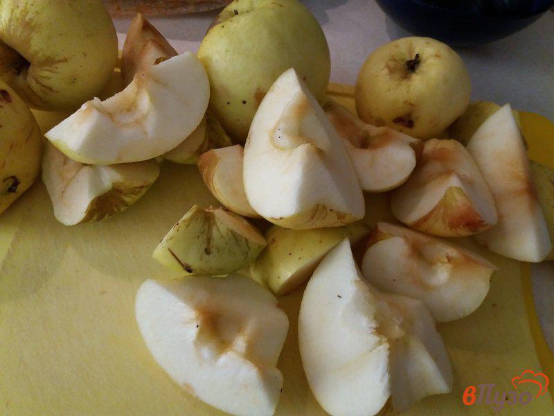 Фото приготовление рецепта: Утка запеченная с антоновскими яблоками свежим черносливом и картофелем шаг №6