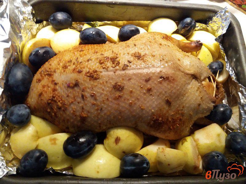 Фото приготовление рецепта: Утка запеченная с антоновскими яблоками свежим черносливом и картофелем шаг №12
