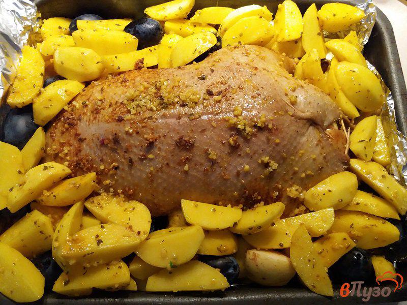 Фото приготовление рецепта: Утка запеченная с антоновскими яблоками свежим черносливом и картофелем шаг №13