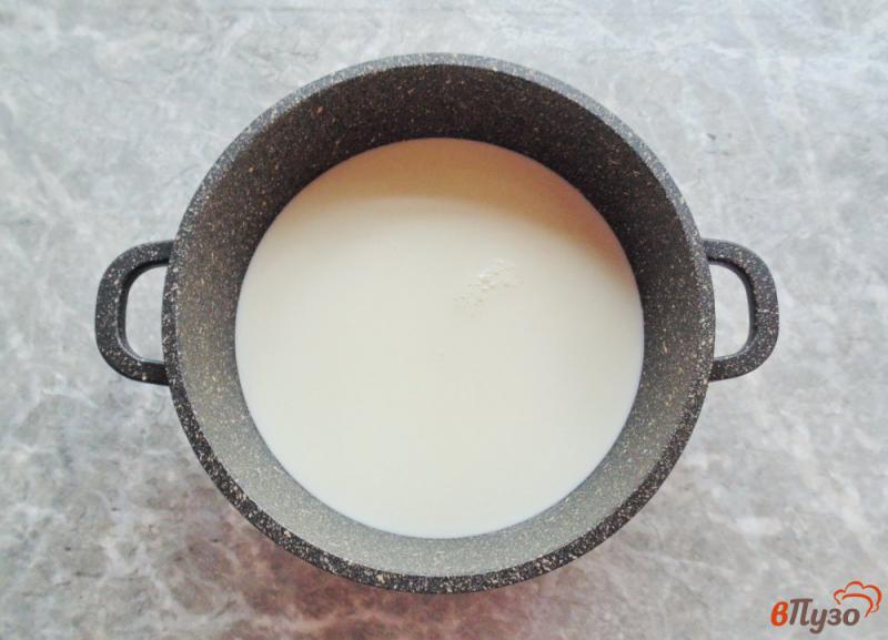 Фото приготовление рецепта: Домашний творог из молока шаг №1