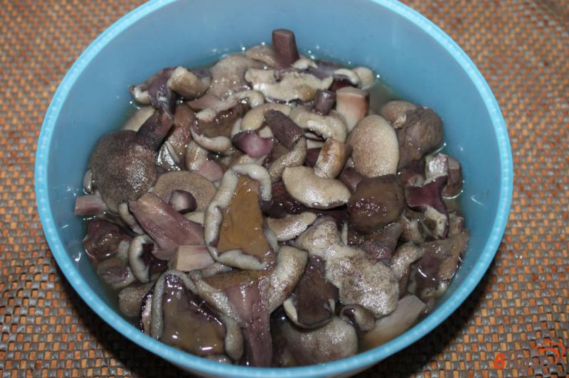 Фото приготовление рецепта: Жареные грибы с луком в белом соусе шаг №1
