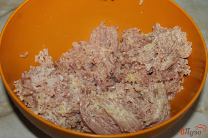 Фото приготовление рецепта: Тушеные куриные котлеты с паприкой шаг №1