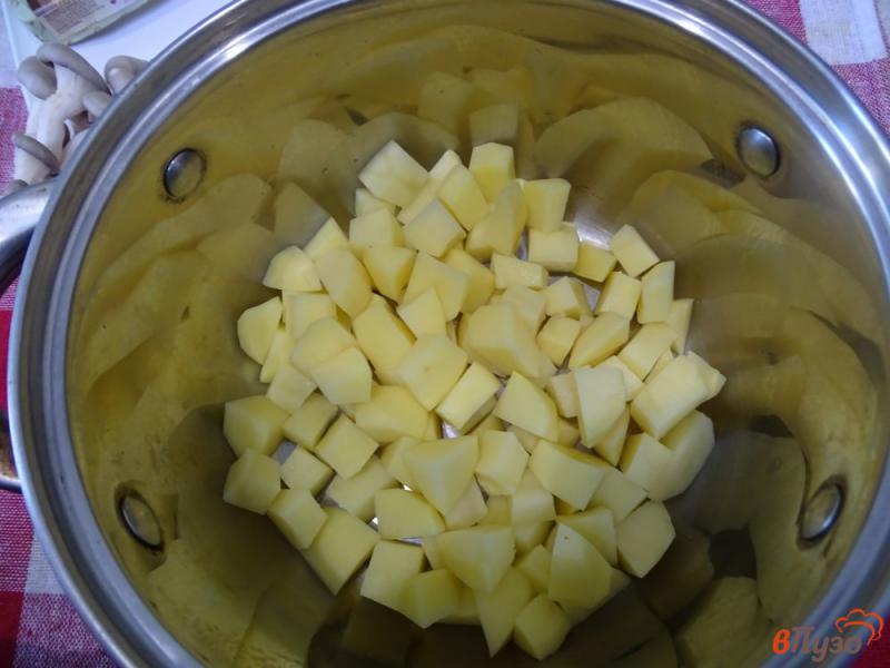 Фото приготовление рецепта: Суп с вешенками и плавленым сыром шаг №2