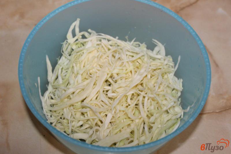 Фото приготовление рецепта: Салат из белокочанной капусты с колбасой и чесноком шаг №1