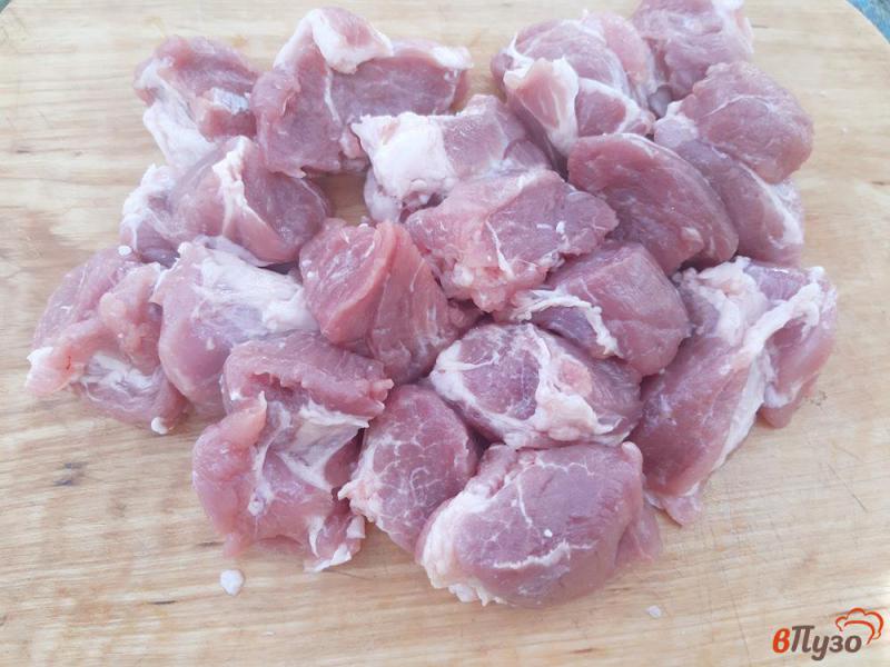Фото приготовление рецепта: Шашлык из свинины в остром томатном маринаде шаг №1