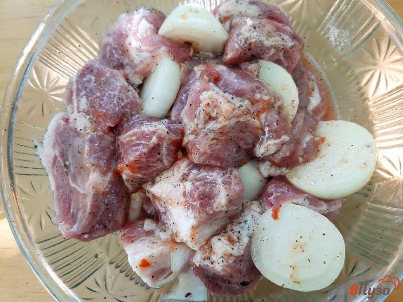 Фото приготовление рецепта: Шашлык из свинины в остром томатном маринаде шаг №2
