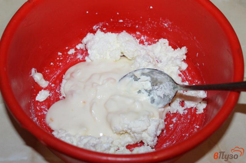 Фото приготовление рецепта: Творожные оладьи с йогуртом шаг №2