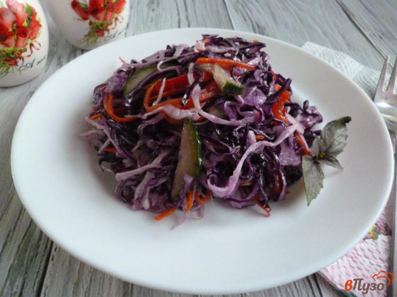 Фото приготовление рецепта: Салат из двух видов капусты шаг №8