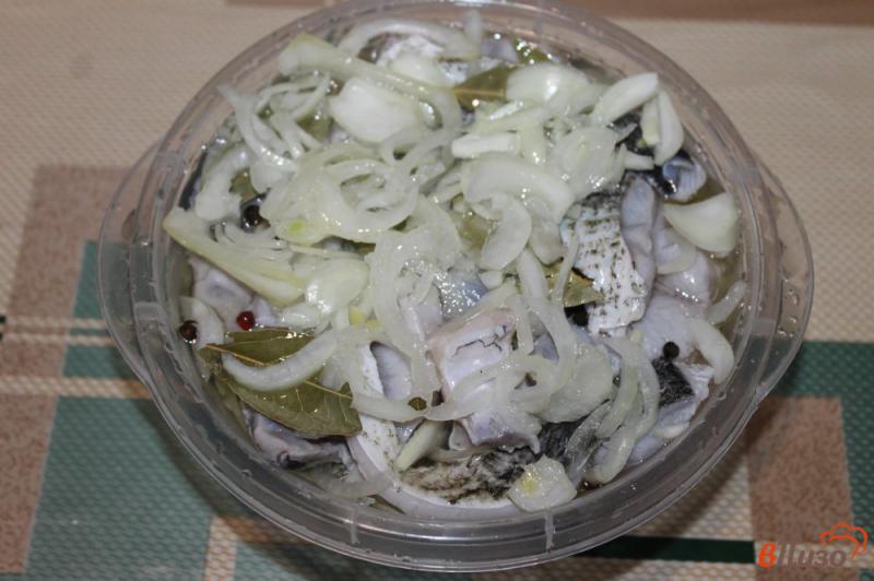Фото приготовление рецепта: Маринованное филе толстолобика в масле шаг №5