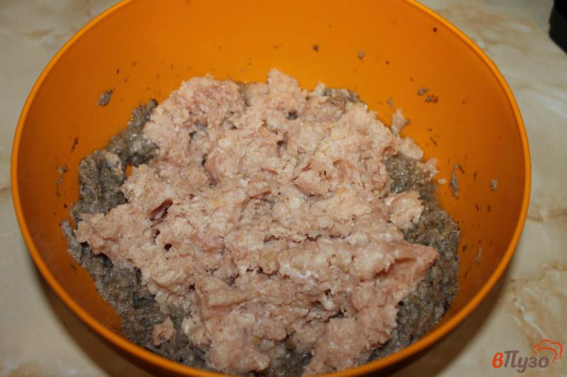 Фото приготовление рецепта: Пельмени с мясом и грибами шаг №3