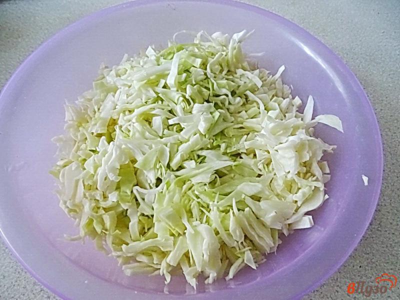 Фото приготовление рецепта: Тушеная капуста с овощами и рисом в томатном соусе шаг №1