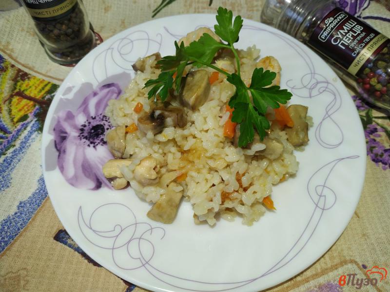 Фото приготовление рецепта: Плов с куриным филе и грибами шаг №9