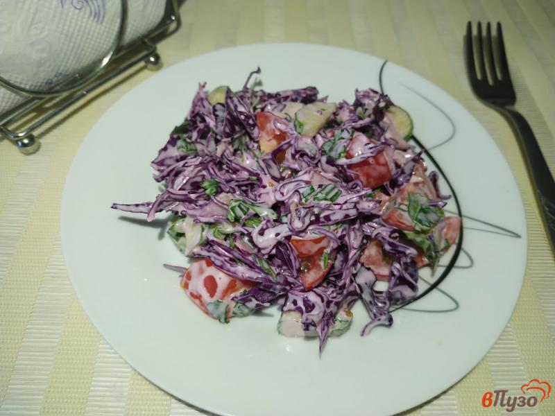 Фото приготовление рецепта: Салат из краснокачанной капусты огурцов и помидоров шаг №8