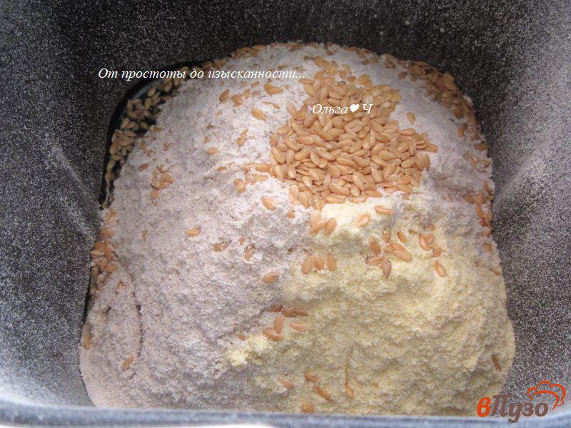 Фото приготовление рецепта: Овсяно-кукурузный хлеб с семенами льна шаг №2