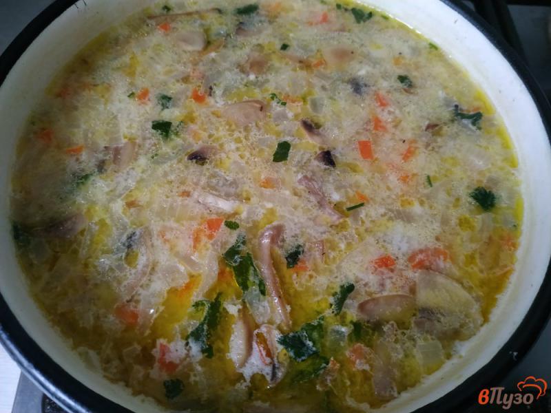 Фото приготовление рецепта: Луковый суп с плавленым сыром и грибами шаг №10