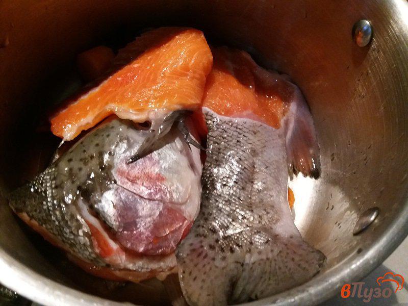 Фото приготовление рецепта: Солянка рыбная из форели шаг №2