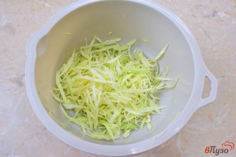 Фото приготовление рецепта: Овощной салат из капусты шаг №1