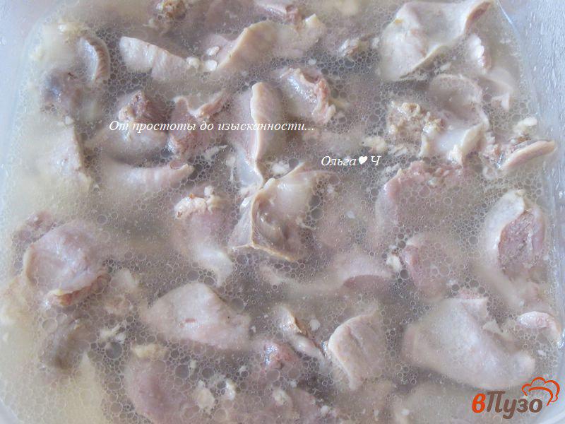 Фото приготовление рецепта: Овощное рагу с куриными желудочками шаг №1