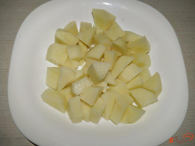 Фото приготовление рецепта: Овощное рагу с краснокачанной капустой шаг №1
