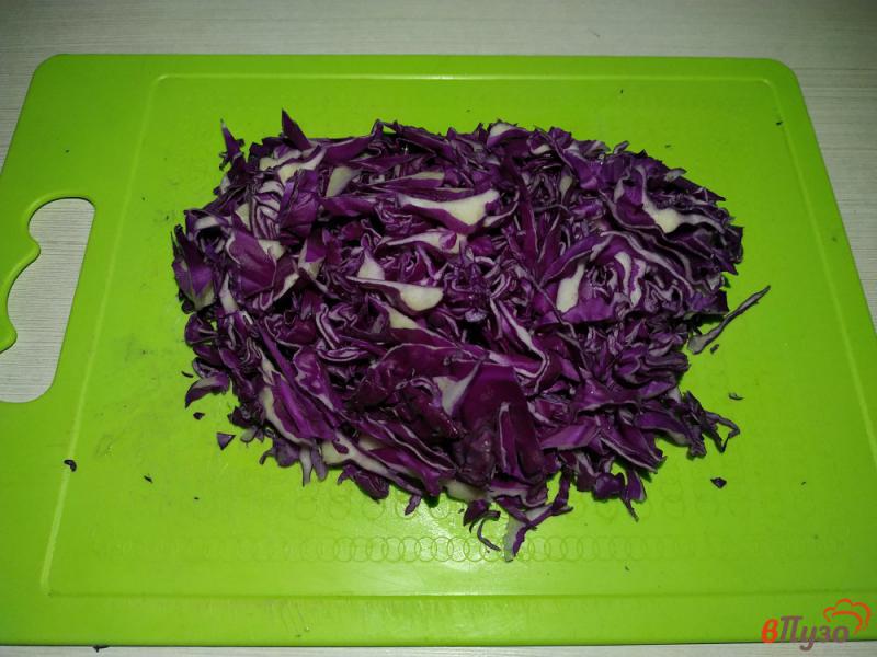 Фото приготовление рецепта: Овощное рагу с краснокачанной капустой шаг №5