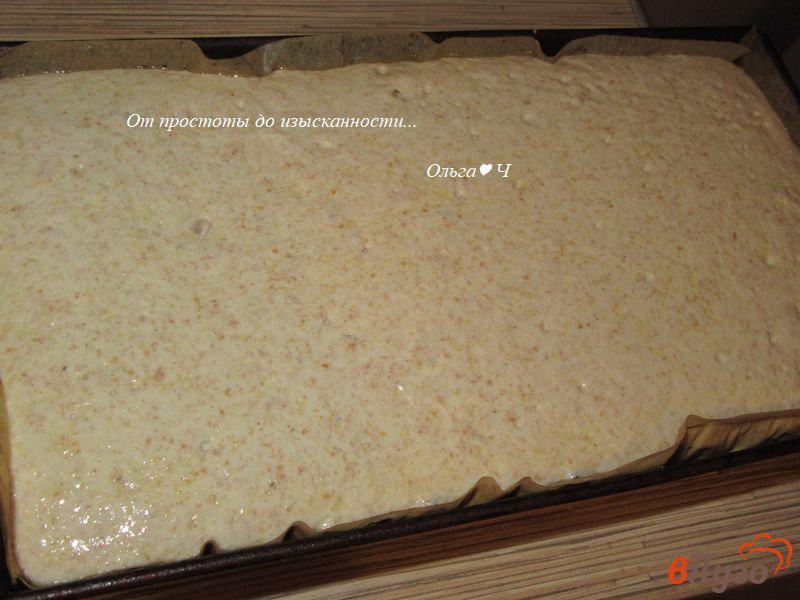 Фото приготовление рецепта: Пшенично-цельнозерновой хлеб с полентой шаг №6