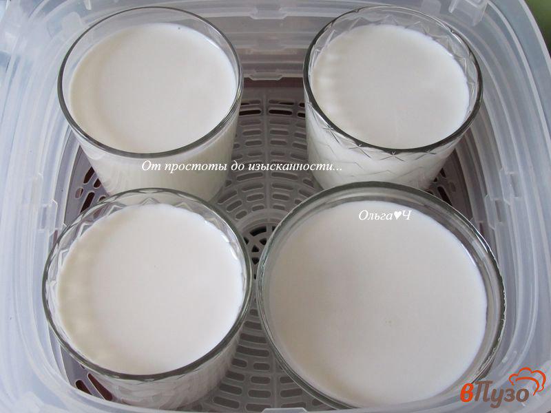 Фото приготовление рецепта: Домашний йогурт в электросушилке шаг №2