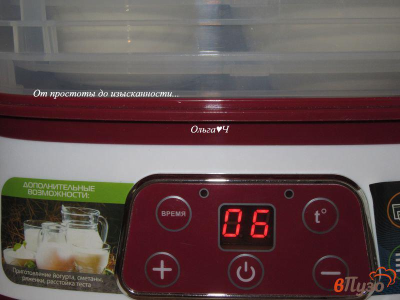 Фото приготовление рецепта: Домашний йогурт в электросушилке шаг №5
