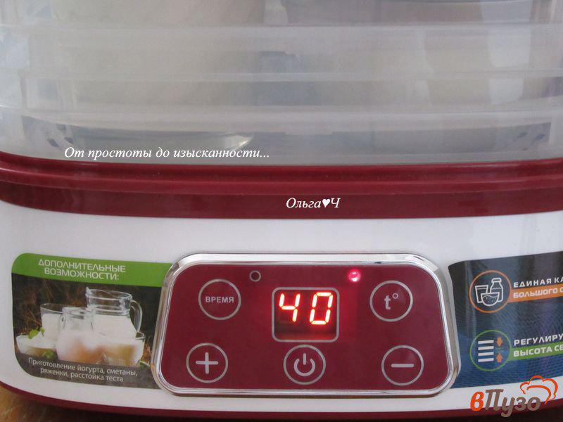 Фото приготовление рецепта: Домашний йогурт в электросушилке шаг №4
