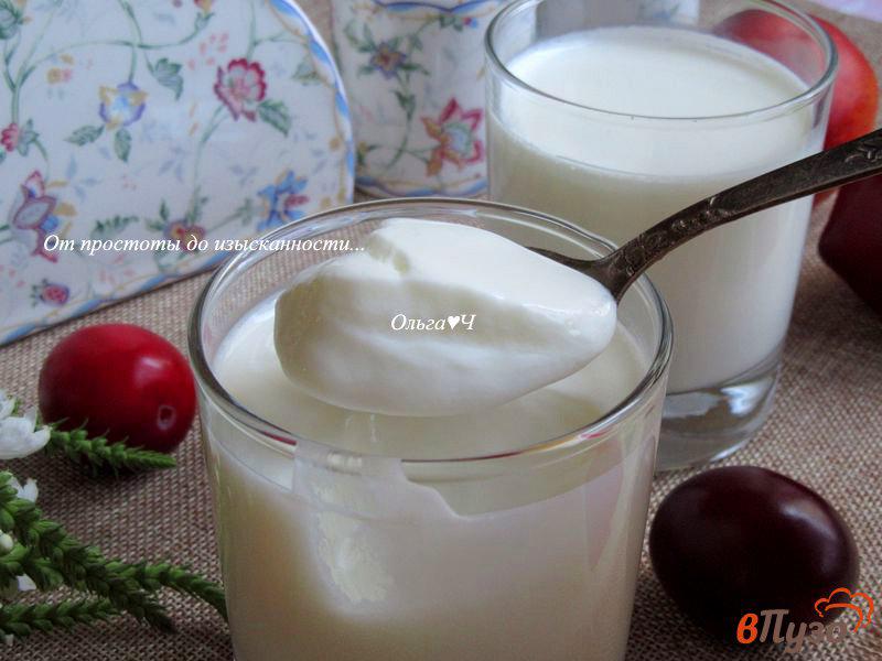 Фото приготовление рецепта: Домашний йогурт в электросушилке шаг №7