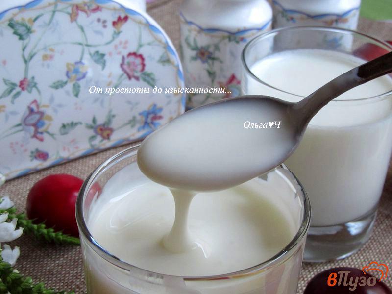 Фото приготовление рецепта: Домашний йогурт в электросушилке шаг №8