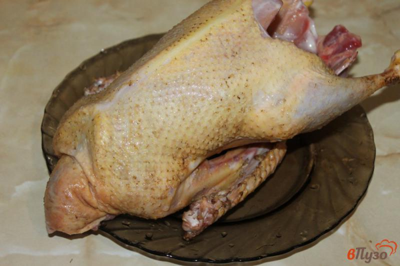 Фото приготовление рецепта: Запеченная утка с яблоками в рукаве шаг №1